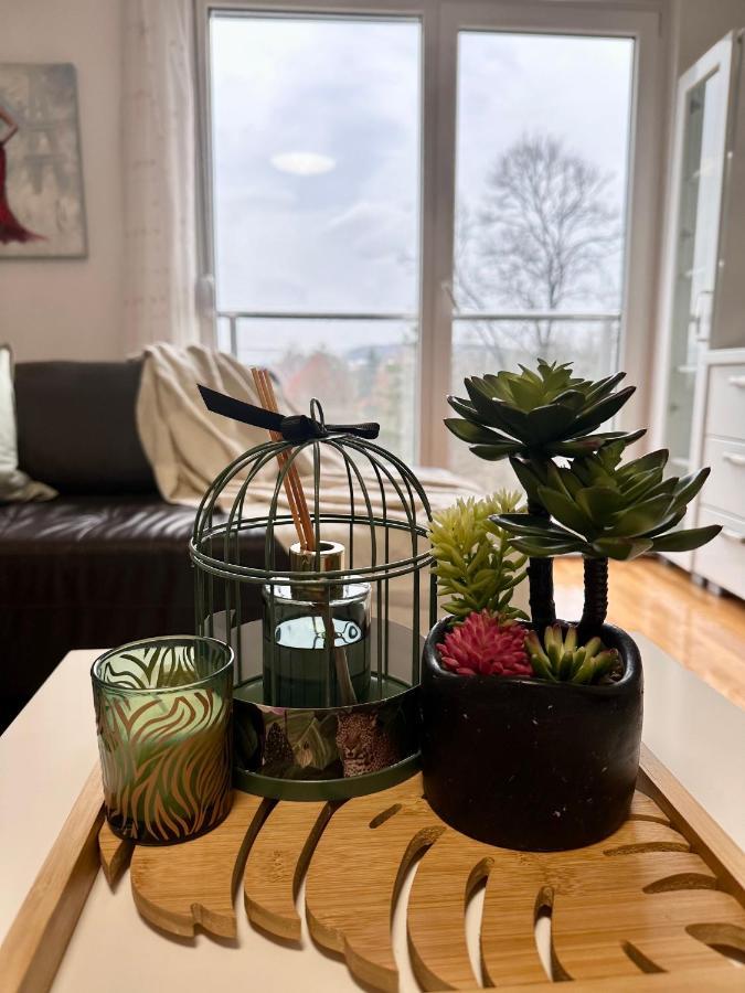 Apartman Floresta - In Front Of Japanese Garden, Enchanting Nature View, Spotless And Cozy Vrnjačka Banja Eksteriør billede